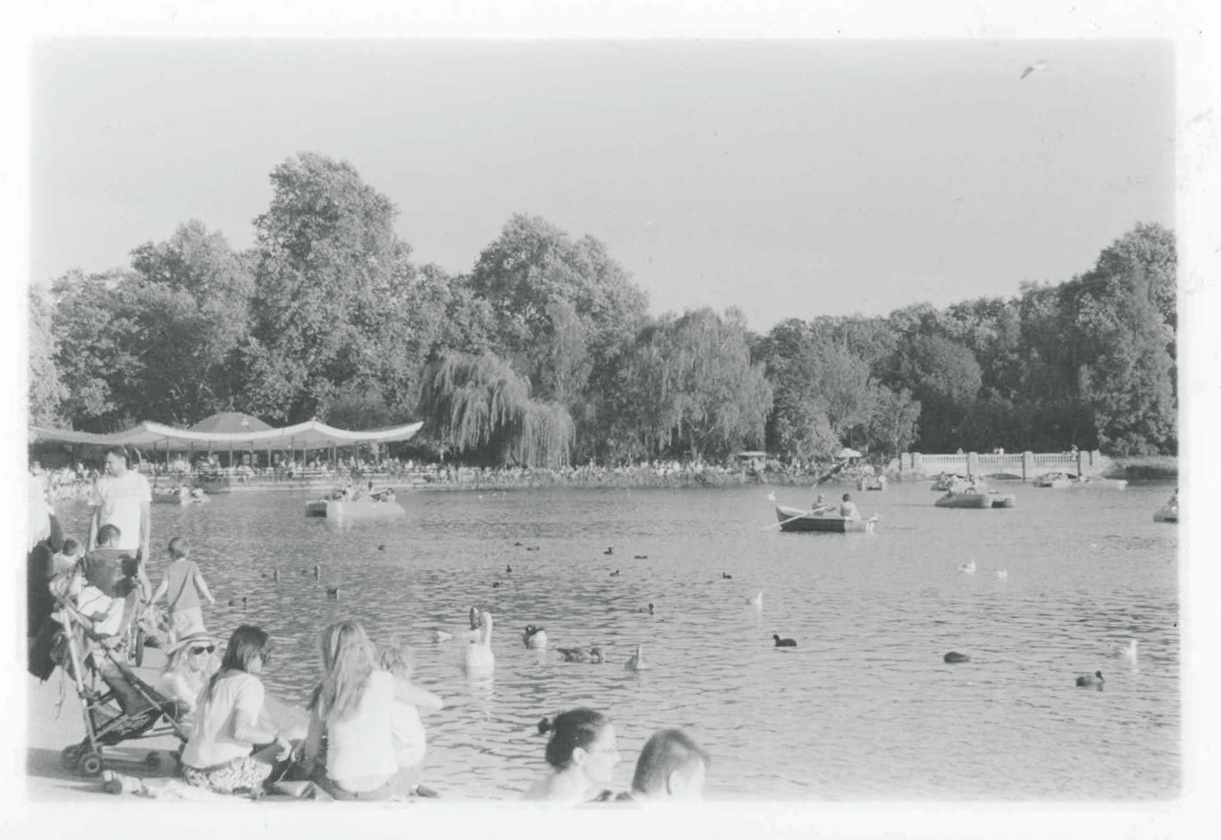 London park summer afternoon